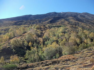 nte Corvo-01-11-2012 11-09-32
